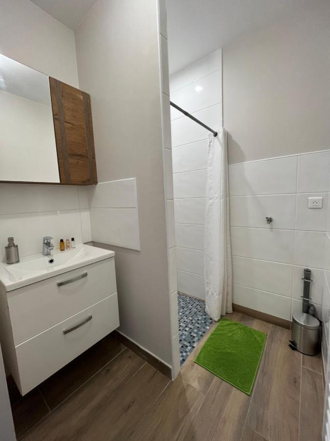 Appartement Renove A 15 Min De Lyon Saint-Fons 외부 사진