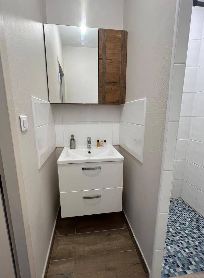 Appartement Renove A 15 Min De Lyon Saint-Fons 외부 사진